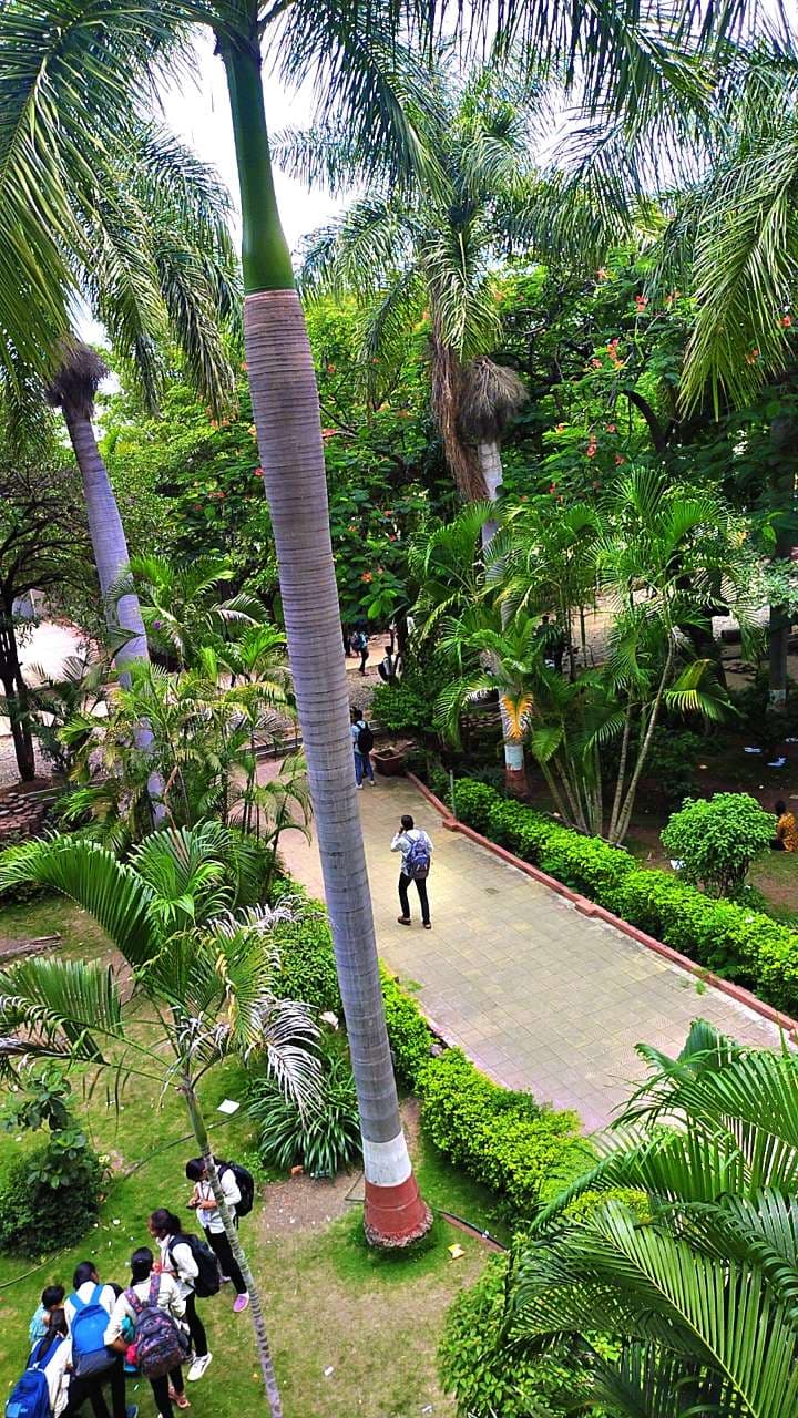 Tuljaram Chaturchand College of Arts, Science & Commerce Baramati Campus photo 2